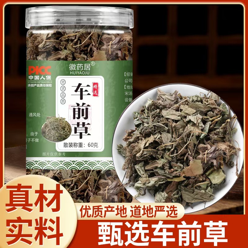 LA747可发样/车前草新货60克罐装无硫车前草切片干货无杂质可批发代发