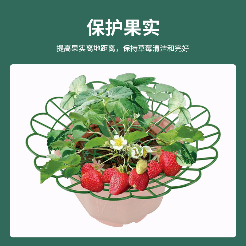 LA714可发样/草莓支架阳台盆栽支架防腐烂园艺固定拼接支撑架种植绿植托盘批发