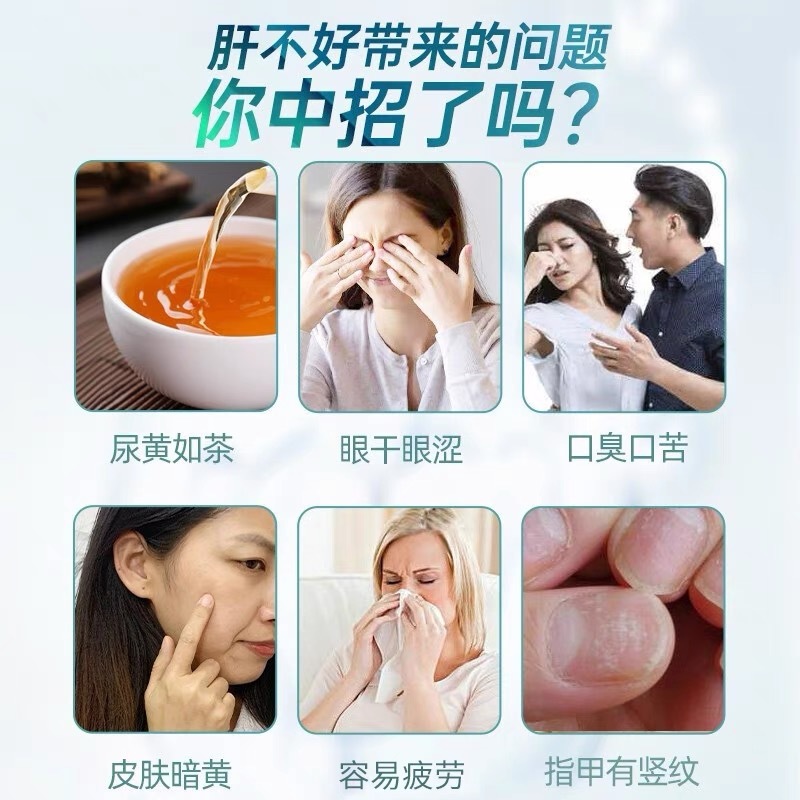 LA753可发样/北同乐家老药铺水飞蓟籽油人参菊花葛根片熬夜加班营养片厂家直发