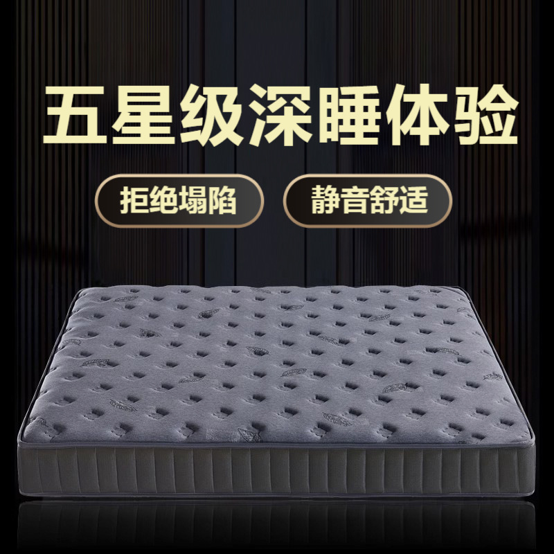 LA317可发样/席梦思独立弹簧床垫20cm椰棕软硬两用家用乳胶弹簧五星级酒店床垫