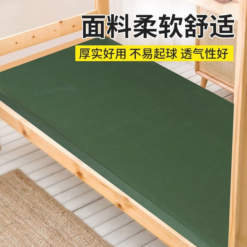 LA317可发样/宿舍床垫学生椰棕丝垫子 可折叠防潮垫学校军训军绿色单人床垫褥