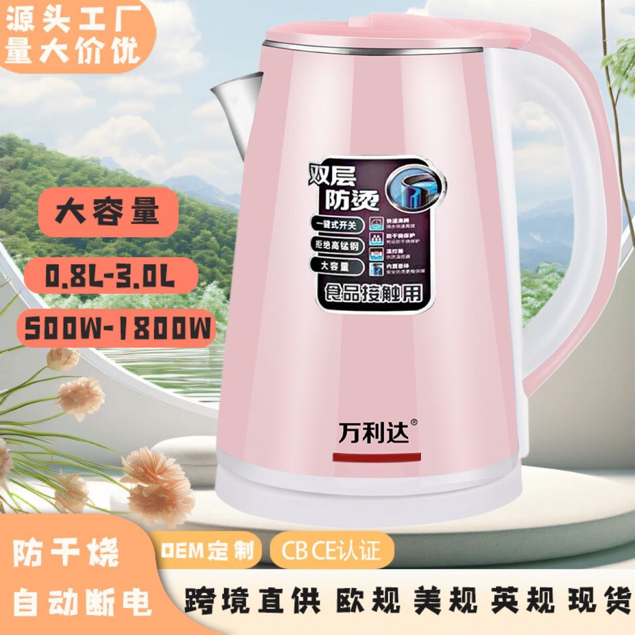 LA176可发样/跨境烧水壶大容量水壶小电热水壶不锈钢家用电水壶迷你热水壶恒温