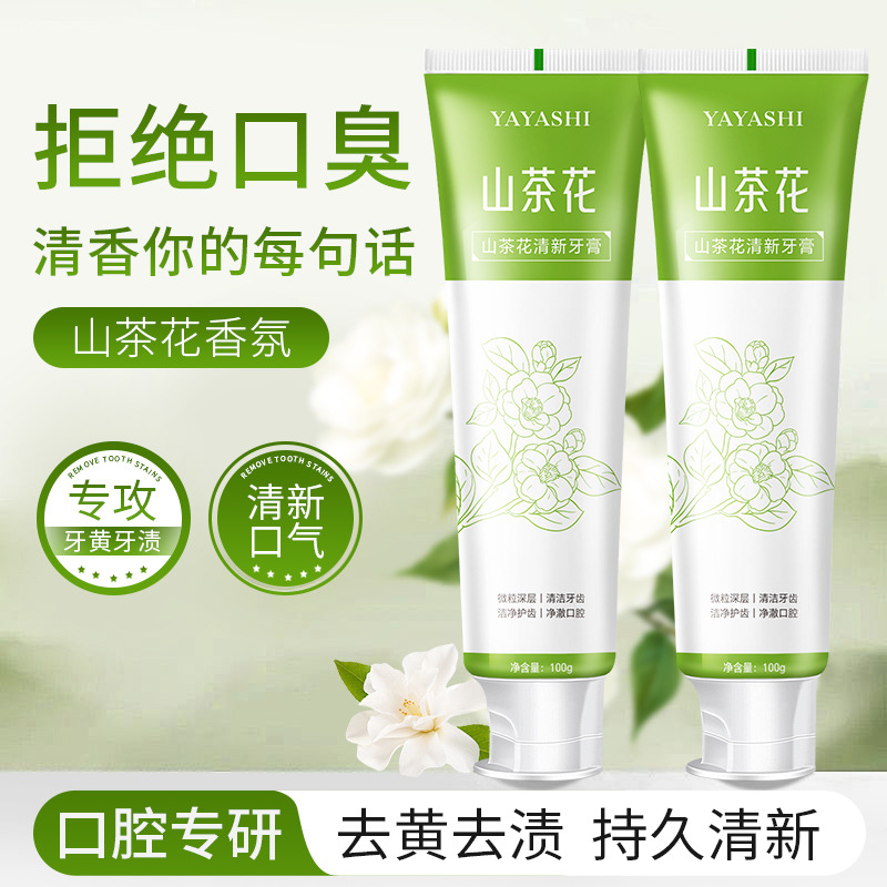 LA202可发样/YAYASHI山茶花清新牙膏深层清洁牙齿洁净口腔清新口气家庭装100g